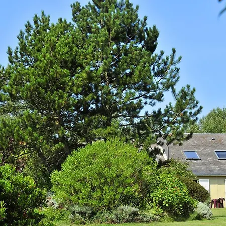 Vtf Le Senequet Blainville-sur-Mer